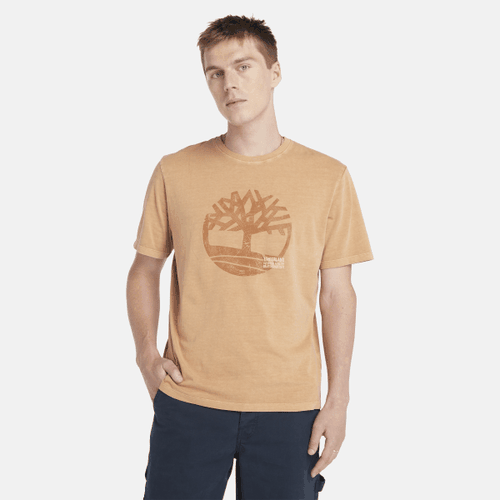 T-shirt à motif teint en pièce en jaune foncé, , jaune, Taille: 3XL - Timberland - Modalova