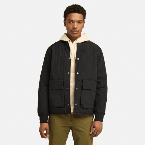 Veste matelassée en noir, , noir, Taille: 3XL - Timberland - Modalova