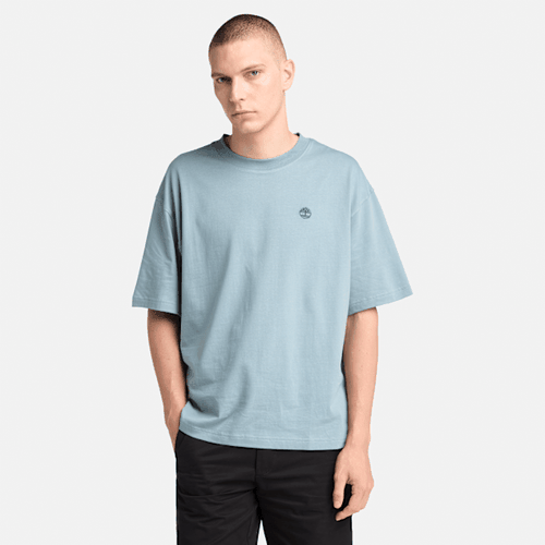 T-shirt Dunstan River en bleu clair, , bleu, Taille: L - Timberland - Modalova