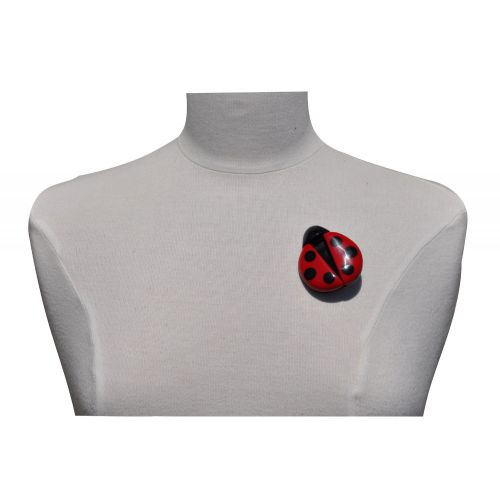 Broche Coccinelle Résine et Noire - LES POULETTES BIJOUX - Modalova