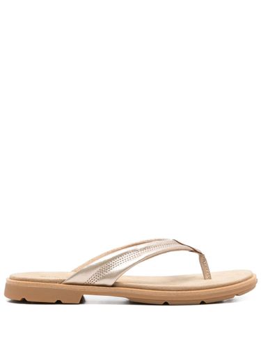 Timberland Calista Bay Thong Sandal - Timberland - Modalova