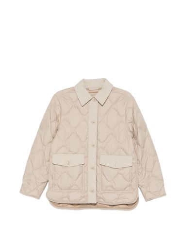 Quilted Nylon Blouson Jacket - Woolrich - Modalova