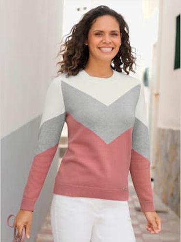 Pull encolure ronde pur coton - Collection L - Modalova