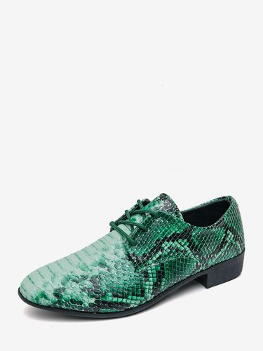 Chaussures Oxford à lacets motif serpent - milanoo.com - Modalova