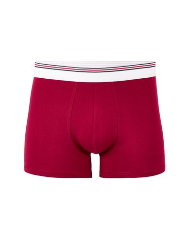 Boxer coton stretch ceinturé contrastée - prune - camaieu - Modalova