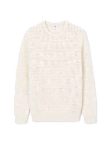 Pull col rond 100% coton - beige - camaieu - Modalova