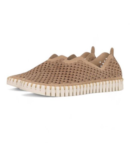 TULIP3275 Chaussures Tulipes marron (36), Tissu, Plat, Aucun, Casuel - Ilse Jacobsen - Modalova