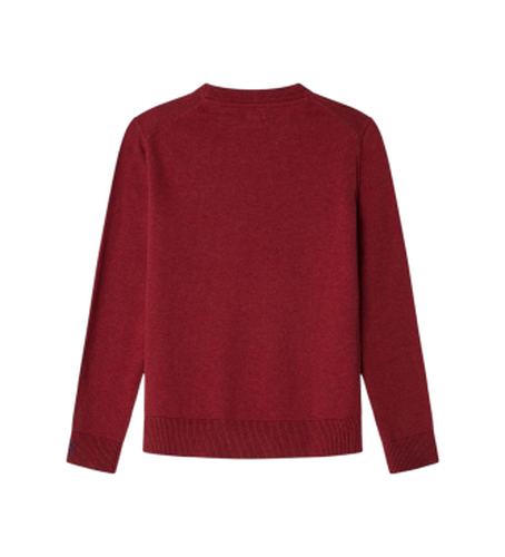 Pour garçon. PB7000001 Pull Telio (10Años= 140cm), Casuel, Coton, mode enfantine - Pepe Jeans - Modalova