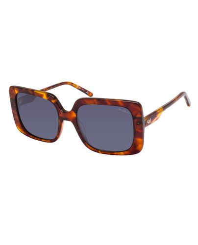 Lunettes de soleil Radiant Wave - Rip Curl - Modalova