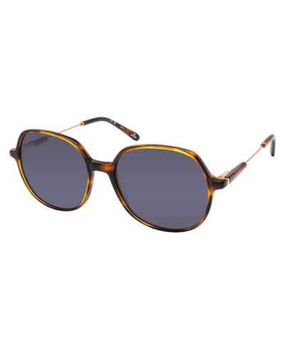 Lunettes de soleil Solara - Rip Curl - Modalova