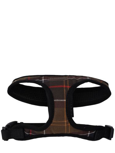 Collier Tartan Pour Chien - BARBOUR - Modalova