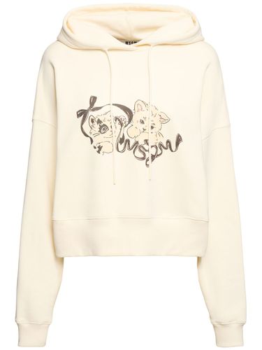 Sweat En Jersey De Coton Imprimé Chaton À Capuche - MSGM - Modalova