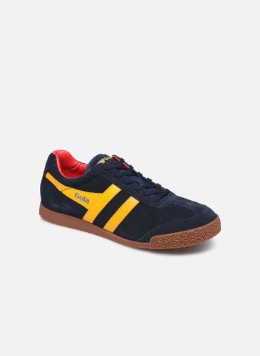 Baskets Harrier Suede - Gola - Modalova