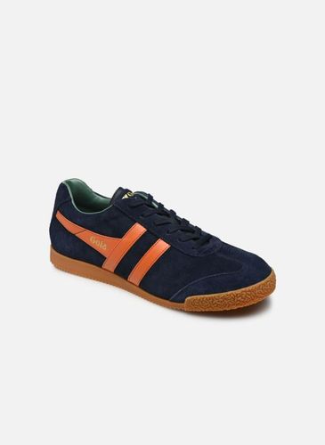Baskets Harrier Suede - Gola - Modalova