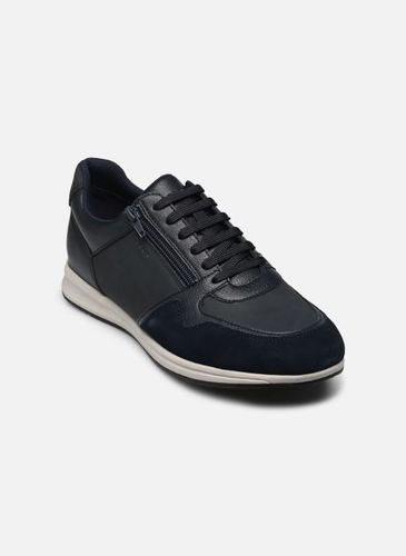 Baskets Geox U AVERY A pour Homme - Geox - Modalova