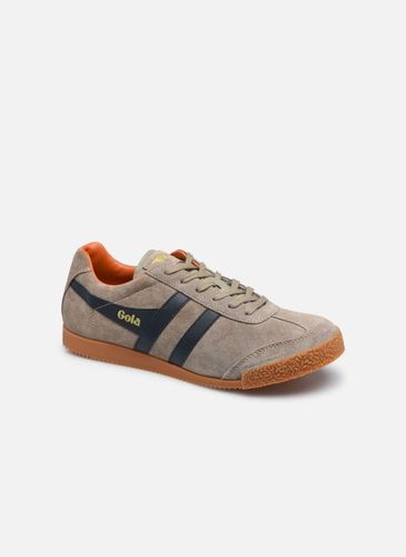 Baskets Harrier Suede - Gola - Modalova