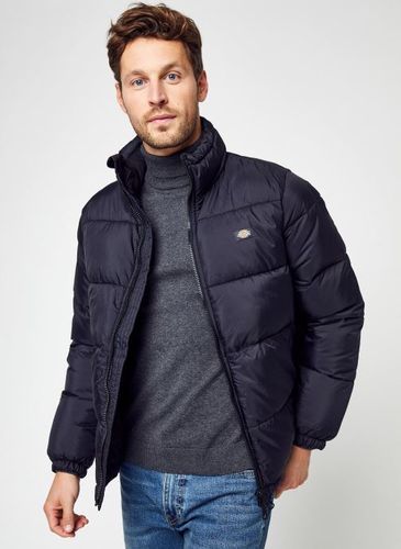 Vêtements Waldenburg pour Accessoires - Dickies - Modalova
