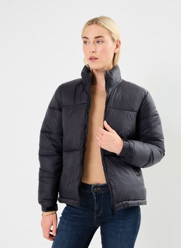 Vêtements Doudoune Courte - Schott - Modalova