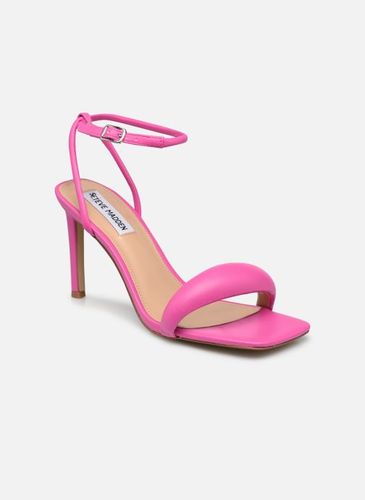 Sandales et nu-pieds ENTICE - Steve Madden - Modalova