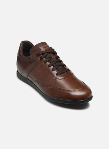 Baskets Geox U RENAN pour Homme - Geox - Modalova