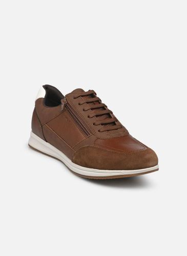 Baskets Geox U AVERY pour Homme - Geox - Modalova