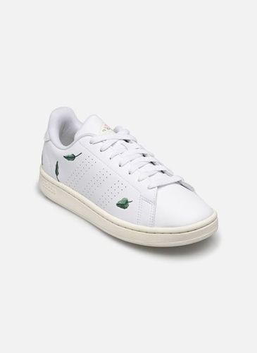 Baskets Advantage - adidas sportswear - Modalova