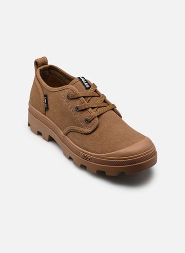 Baskets Tenere Cvs Low - Aigle - Modalova