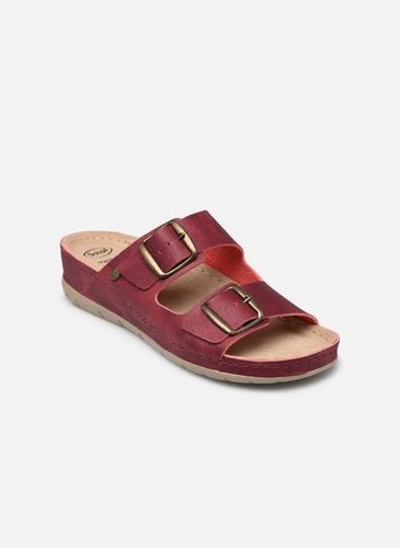 Mules et sabots ABERDEEN - Scholl - Modalova
