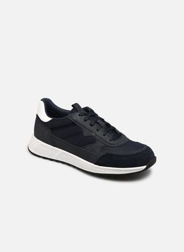 Baskets Geox U MOLVENO pour Homme - Geox - Modalova