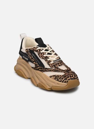 Baskets Possession-E pour - Steve Madden - Modalova