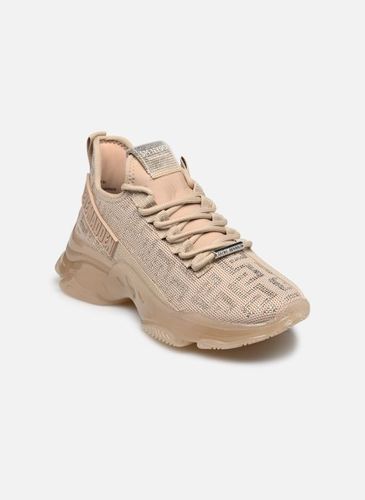 Baskets Maxout pour - Steve Madden - Modalova