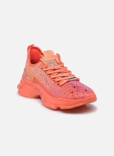 Baskets Mistica pour - Steve Madden - Modalova