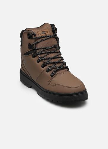 Baskets Peary TR M - DC Shoes - Modalova