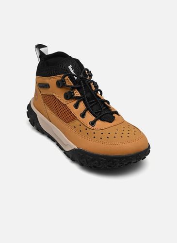 Baskets GREENSTRIDE MOTION 6 LOW LACE UP HIKING pour Enfant - Timberland - Modalova