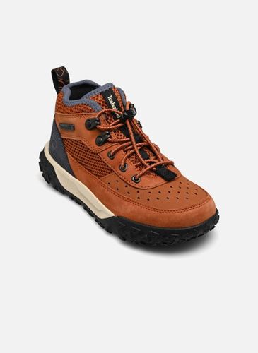 Baskets GREENSTRIDE MOTION 6 LOW LACE UP HIKING pour Enfant - Timberland - Modalova