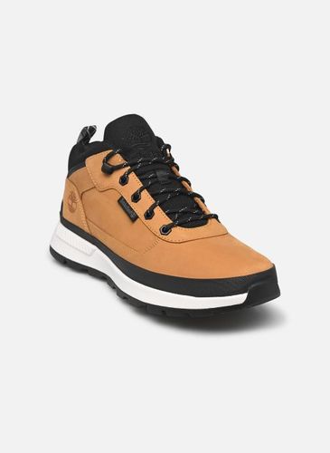 Bottines et boots Field trekker low lace sneaker - Timberland - Modalova