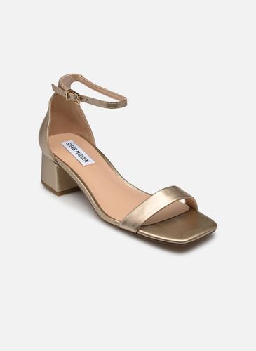 Sandales et nu-pieds Gena pour - Steve Madden - Modalova