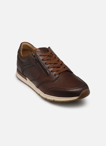 Baskets Pius Gabor Mute pour Homme - Pius Gabor - Modalova