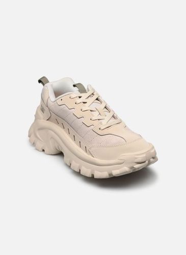 Baskets INTRUDER LITE - Caterpillar - Modalova