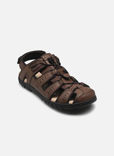 Sandales et nu-pieds UOMO SANDALE STRADA BR - Geox - Modalova