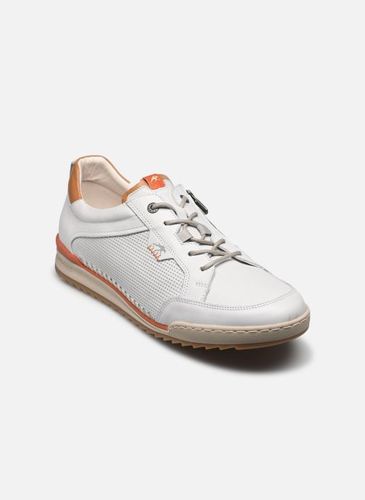 Baskets ELDER F2179 - Fluchos - Modalova