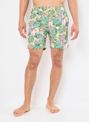 Vêtements BHRADDY Swimwear - Blend - Modalova