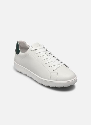 Chaussures à lacets U SPHERICA ECUB-1 pour - Geox - Modalova