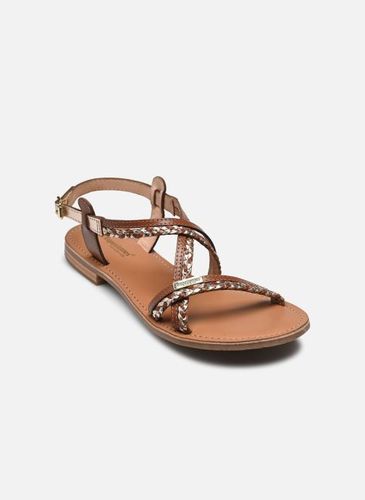 Sandales et nu-pieds HOMONGO pour - Les Tropéziennes par M Belarbi - Modalova