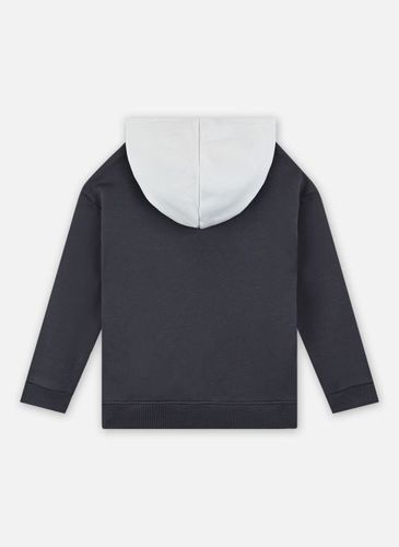 Vêtements Power Hoodie Fl G pour Enfant - Puma - Modalova