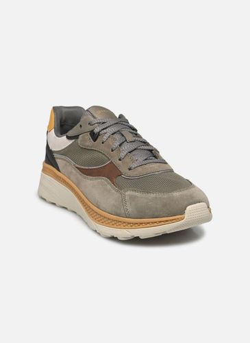 Baskets U SPHERICA ACTIF X1 pour - Geox - Modalova