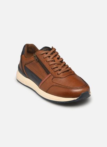 Baskets Redskins CALLIAS pour Homme - Redskins - Modalova