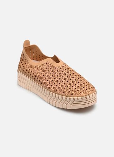 Baskets PLUUM P-EVA pour Femme - PLUUM - Modalova
