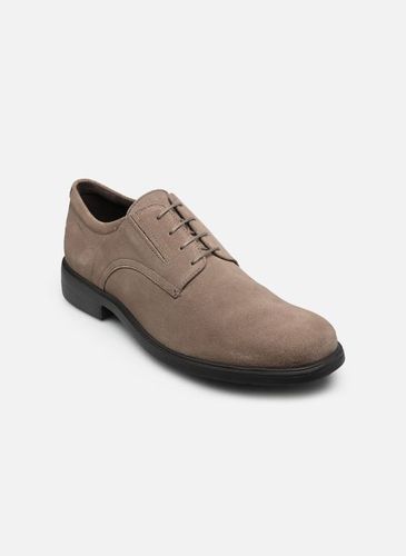 Chaussures à lacets U DUBLIN C - Geox - Modalova