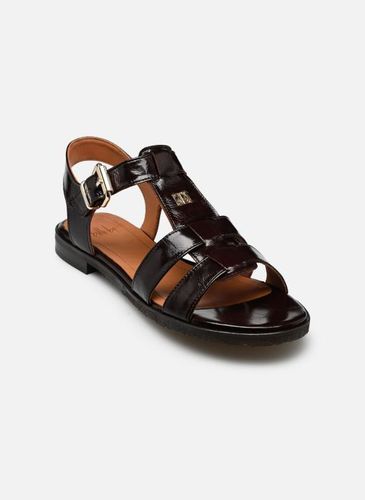 Sandales et nu-pieds A9660 - Billi Bi - Modalova